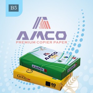 B5 100 gsm superior quality copy paper designed for your significant reports & presentations